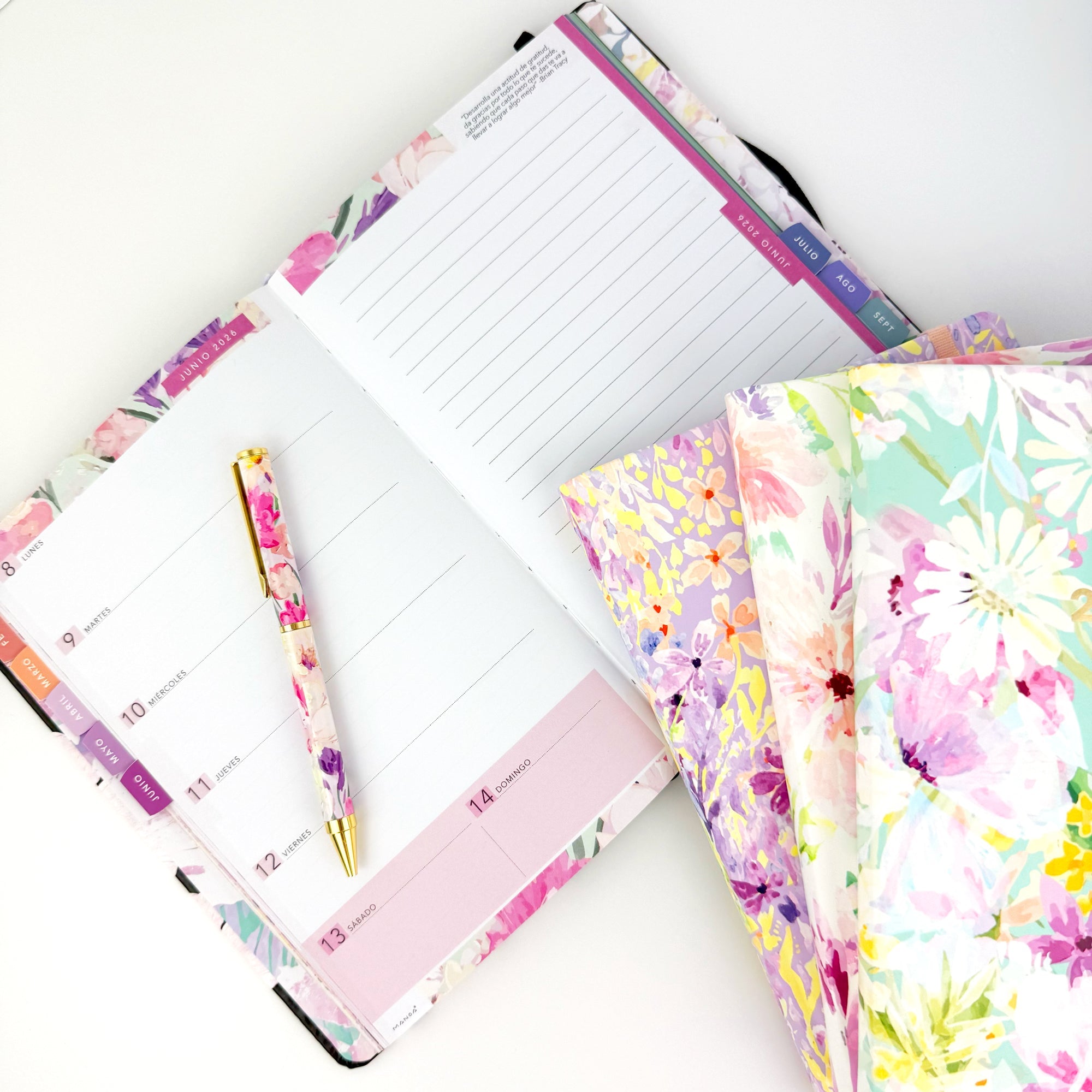 Agendas Booklet