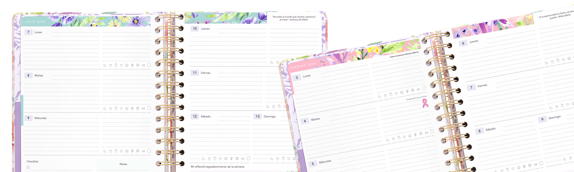 Agendas Semana Vista